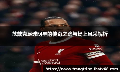 范戴克足球明星的传奇之路与场上风采解析